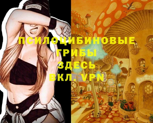 метадон Алексин