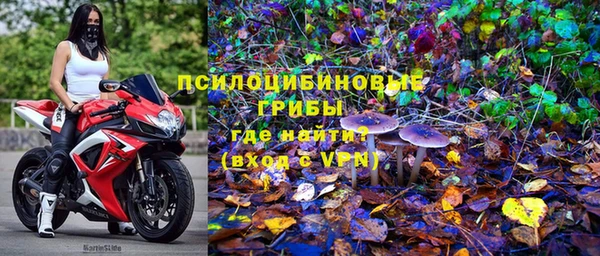 гидропоника Алексеевка