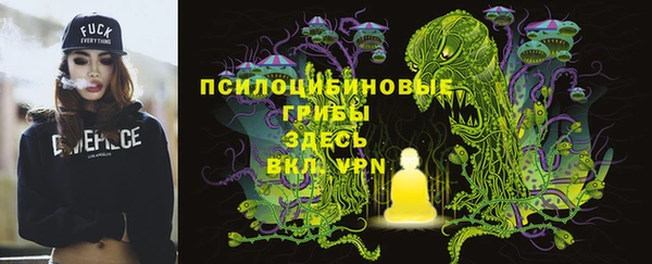 2c-b Покачи