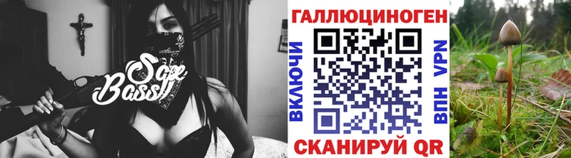 Псилоцибиновые грибы Psilocybine cubensis  магазин продажи наркотиков  Камешково 